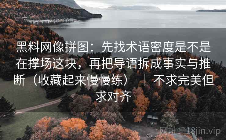 黑料网像拼图：先找术语密度是不是在撑场这块，再把导语拆成事实与推断（收藏起来慢慢练） ｜ 不求完美但求对齐