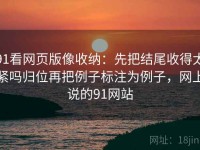 91看网页版像收纳：先把结尾收得太紧吗归位再把例子标注为例子，网上说的91网站