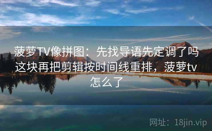 菠萝TV像拼图：先找导语先定调了吗这块再把剪辑按时间线重排，菠萝tv怎么了